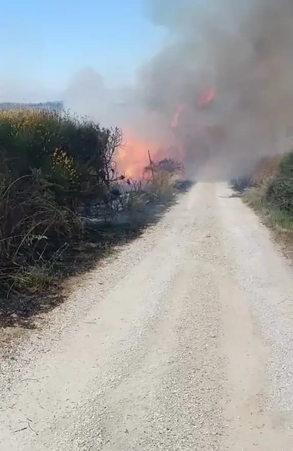 Attività antincendio — foto 2