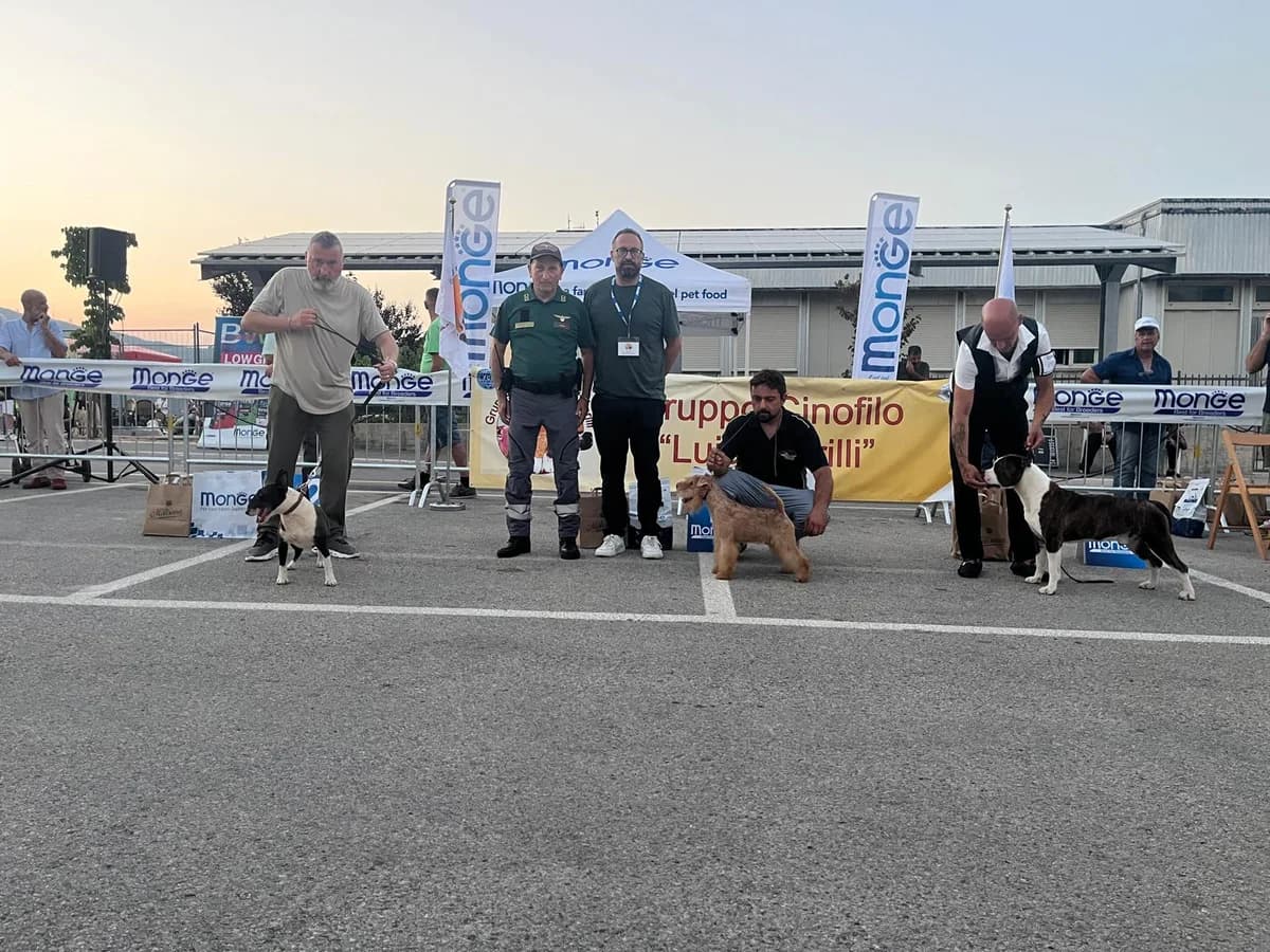 Giornata cinofila — foto 1 - Congeav Sezione Trivento