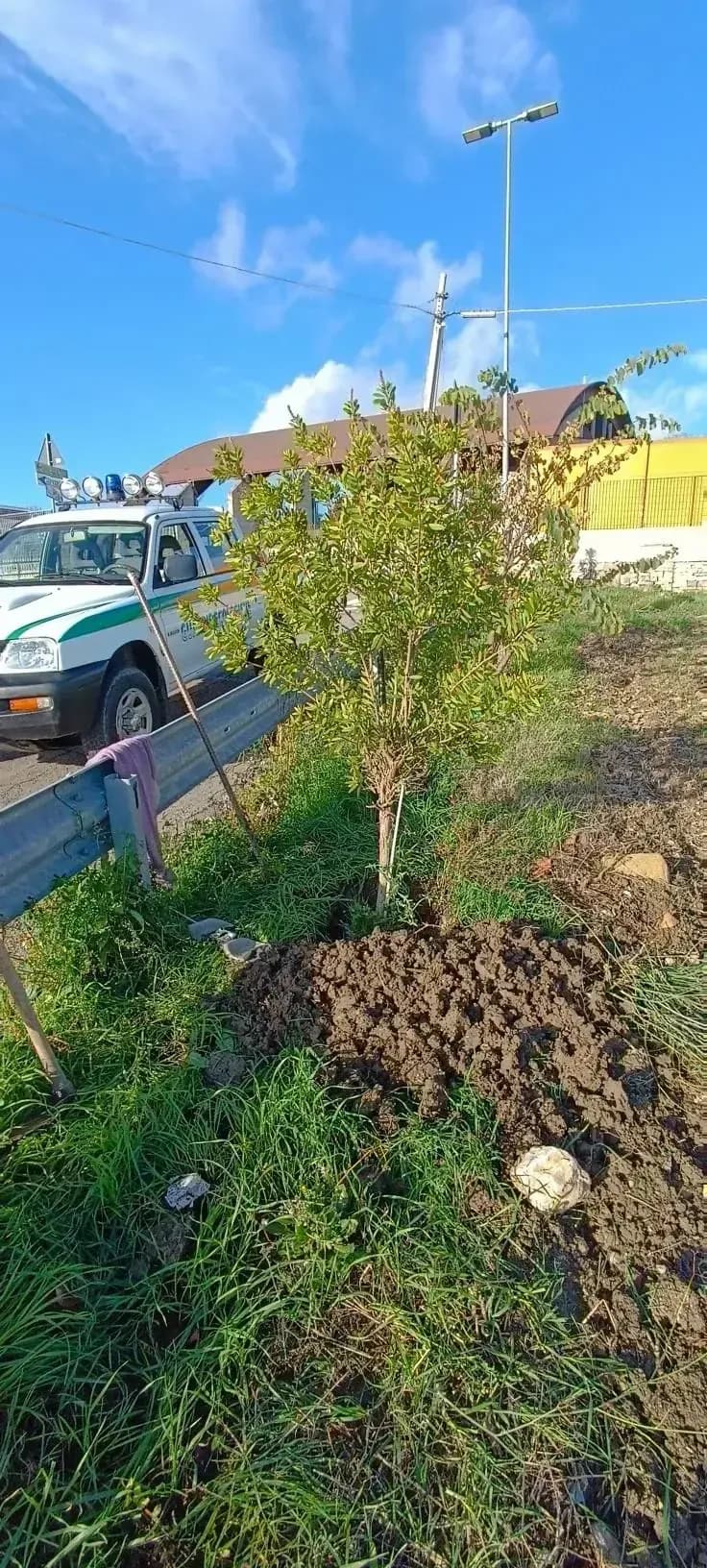 Festa dell'albero — foto 1 - Congeav Sezione Trivento