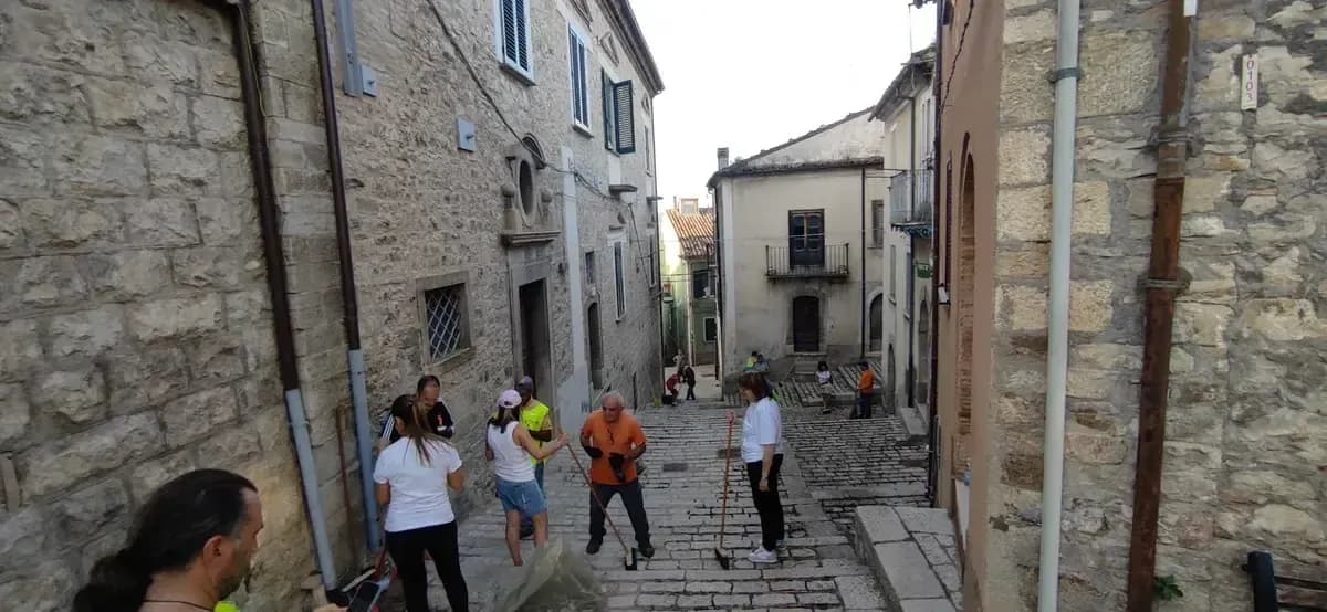 Vigilanza ambientale — foto 4